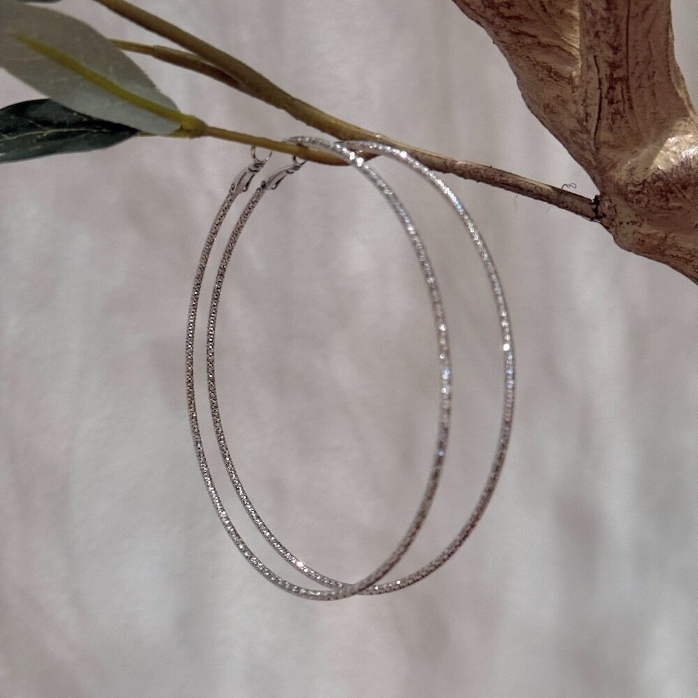 LARGE HOOPS EARRINGS - Picture 1 of 4